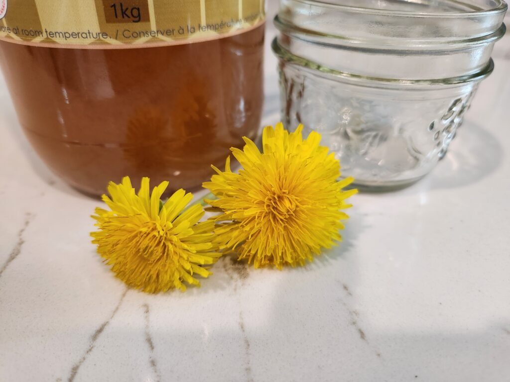 Dandelion Remedies - Dandelion Honey