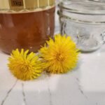 Dandelion Remedies - Dandelion Honey