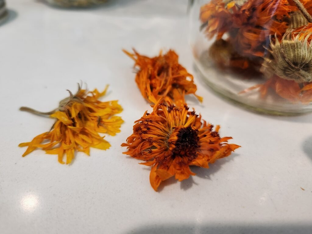 Dried Dandelion and Calendula Flower Petals