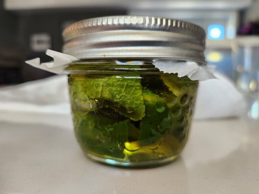 How to make Mullein Infused Oil