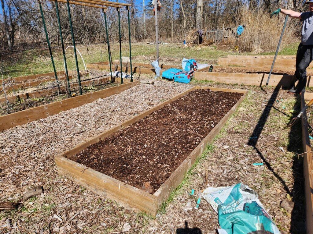 Spring garden bed cleaned up
