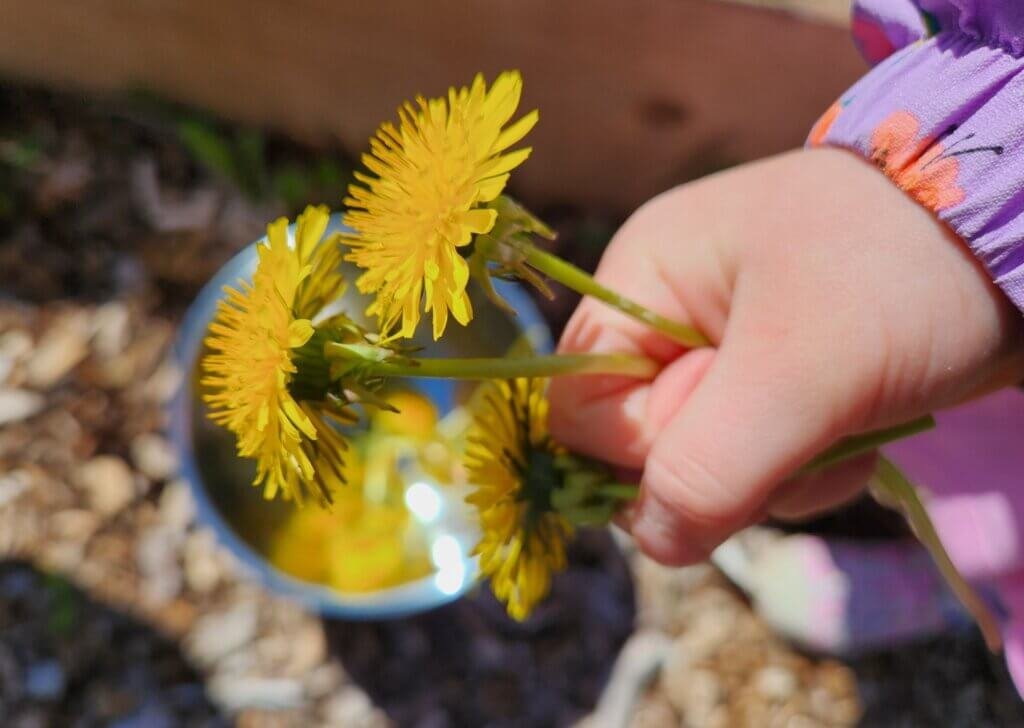 Nature Things to Do with Kids May-June