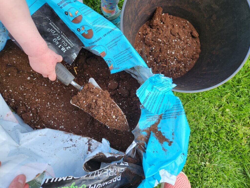 Scooping Soil into Pot