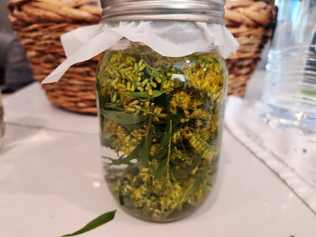 Goldenrod Tincture