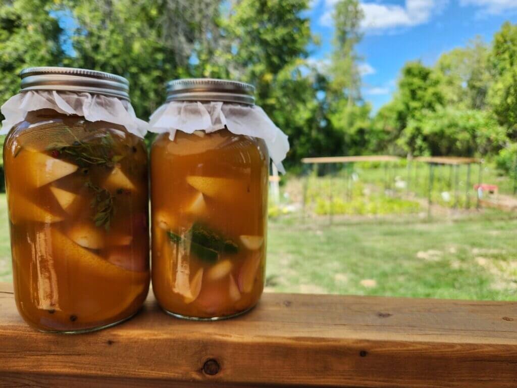Fire Cider Overlooking Garden