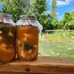 Fire Cider Overlooking Garden