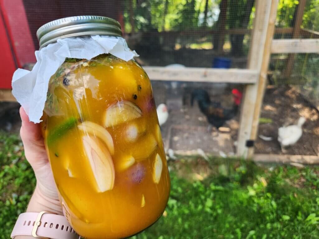 Fire Cider with Chickens in Background
