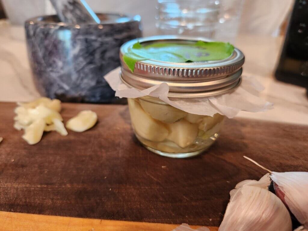 Garlic Tincture Freshly Prepared
