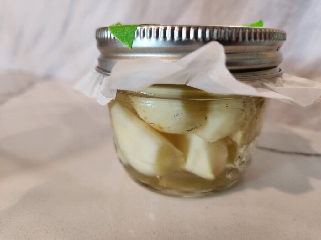 Garlic Tincture Ready to Ferment -How-To Make