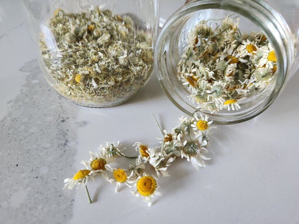 Dried Chamomile Flowers