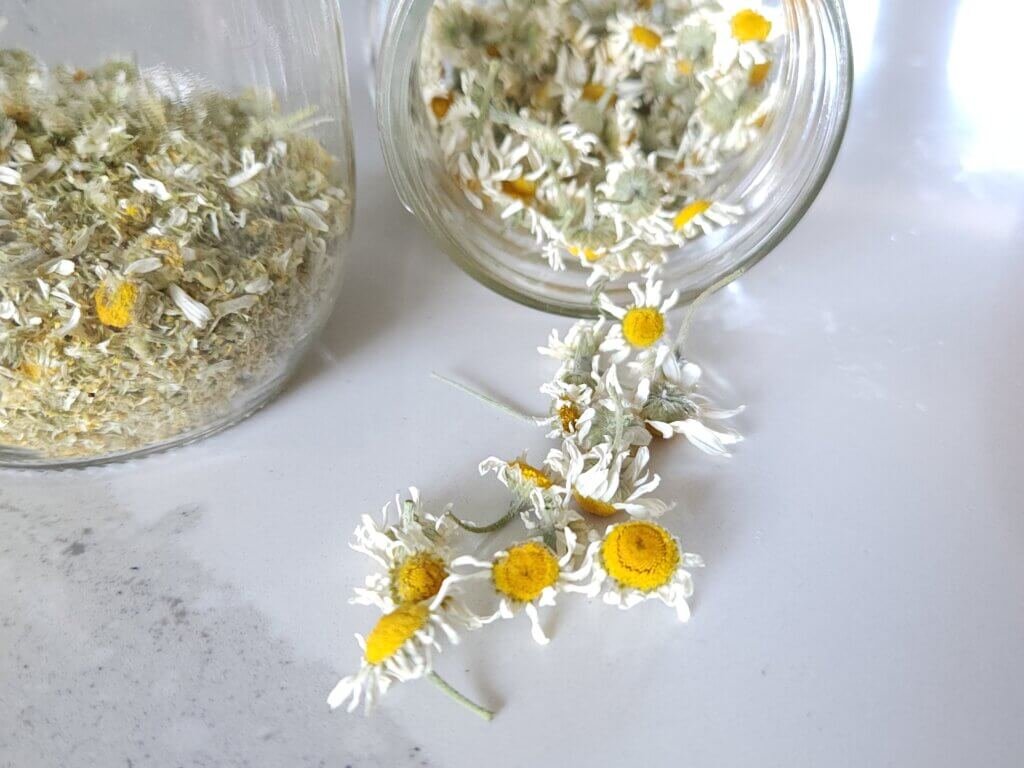 Dried Chamomile Flowers Full and Fine pieces
