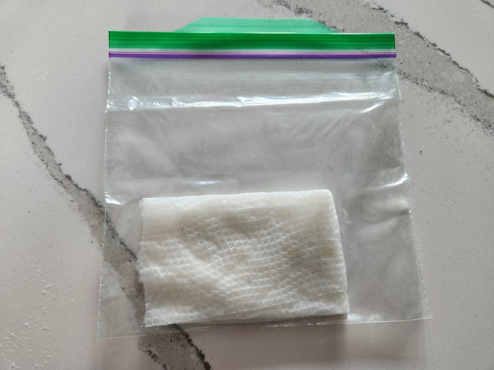 Testing pepper germination in a ziploc bag