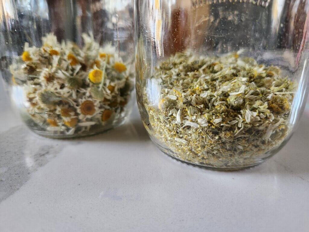 Two Jars of Preserved Chamomile Flowers