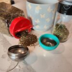 Basil and Rosemary Herbs for Headache Remedies