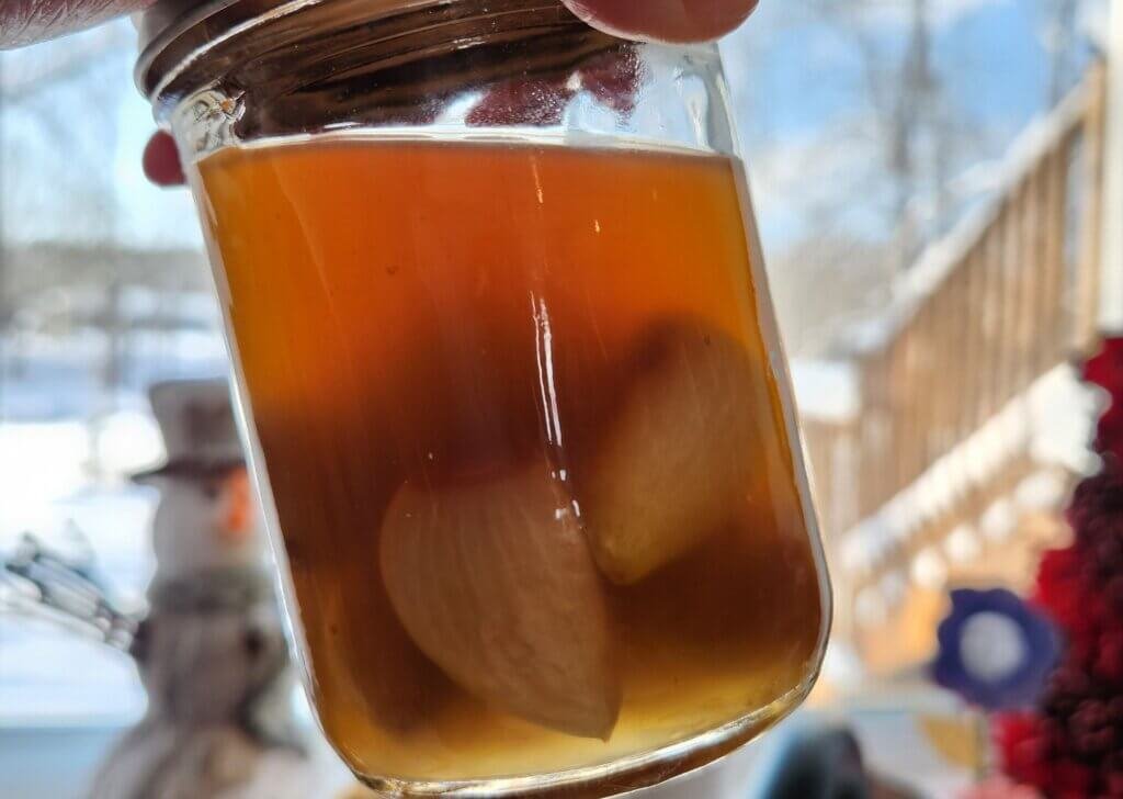 pickled garlic overlooking window