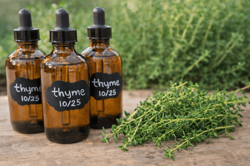 Thyme Tincture bottles - thyme medicinal benefits