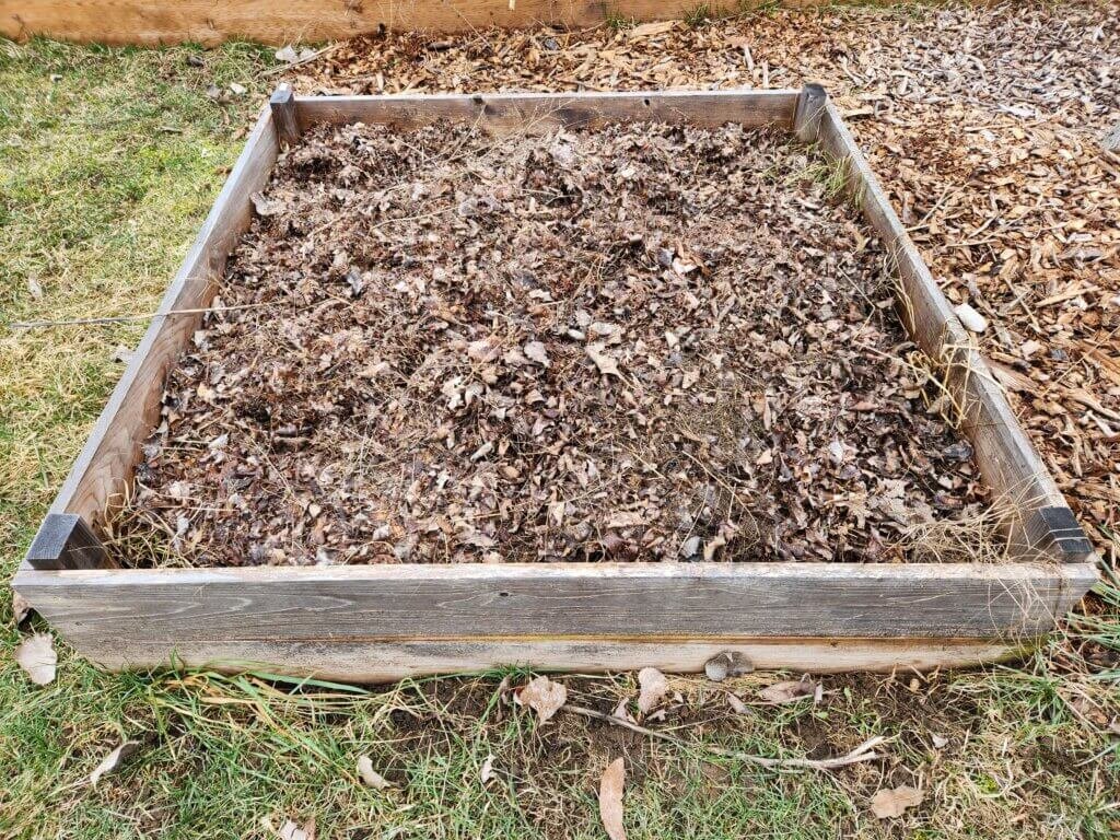 raised garden bed mulched with leaves in fall to prepare soil for winter