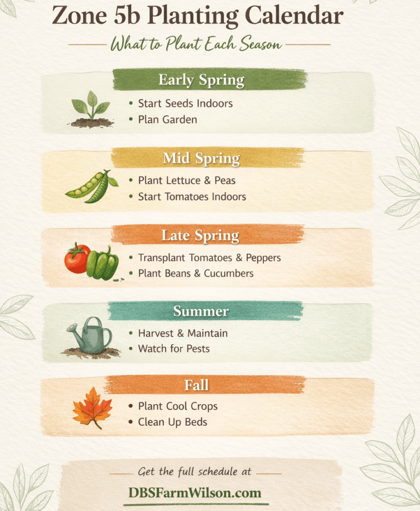 Zone 5b planting calendar showing what to plant in early spring, mid spring, late spring, summer, and fall