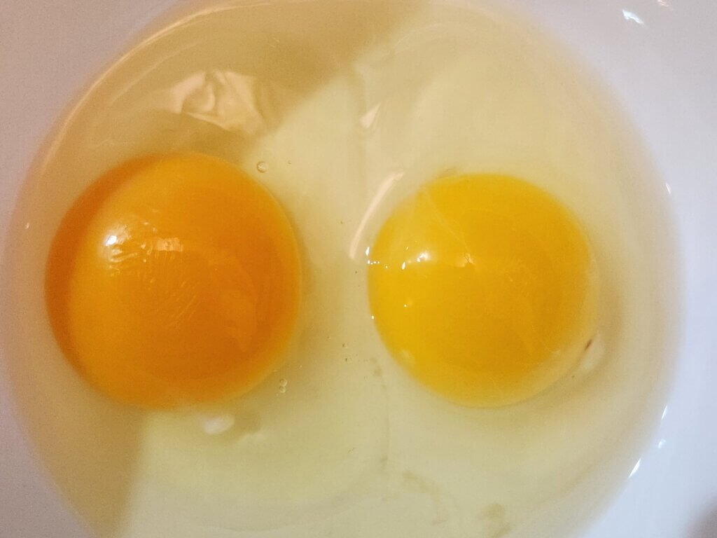 different egg yoke colours
