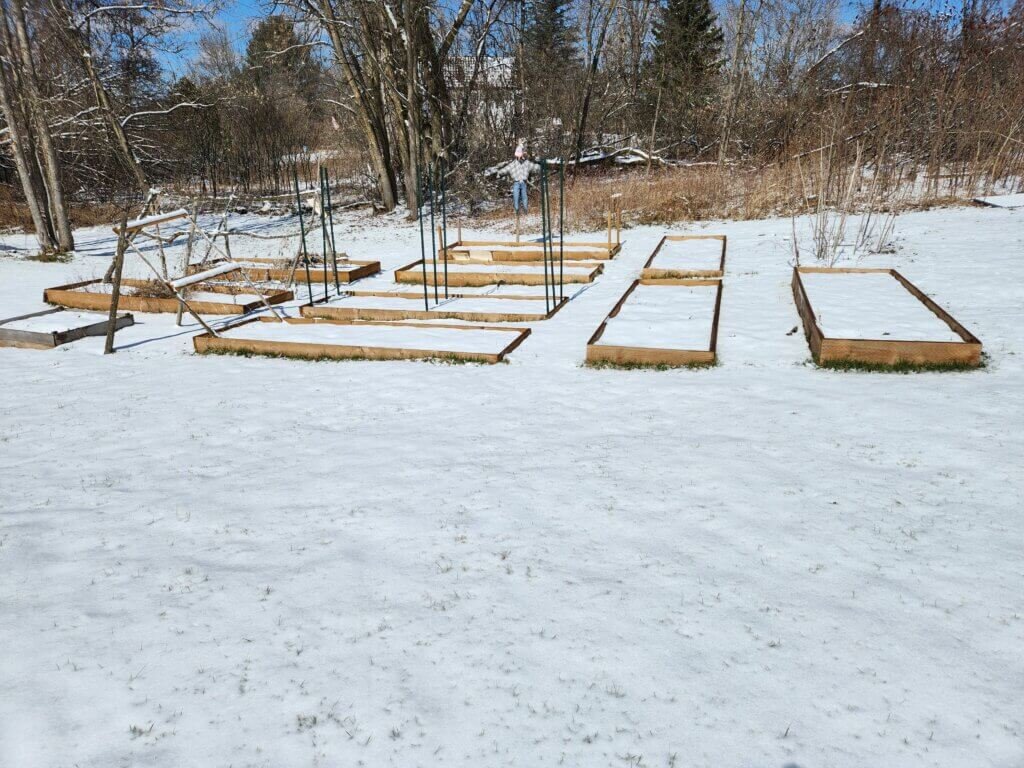 Raised bed garden covered in snow during winter in a Zone 5 climate