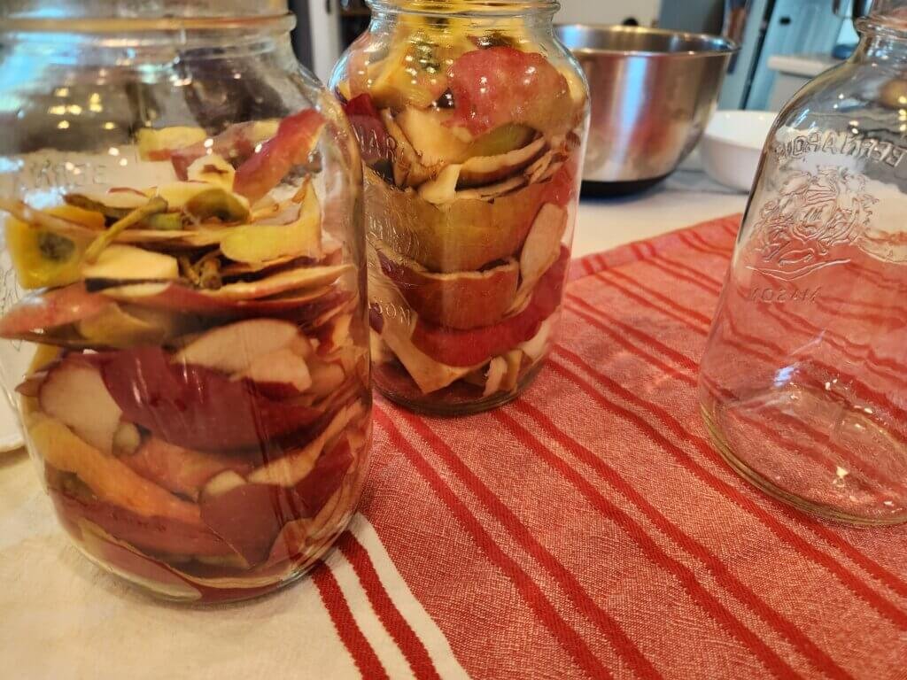 Apple Cider Vinegar Preparation