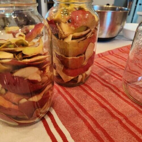 Apple Cider Vinegar Preparation