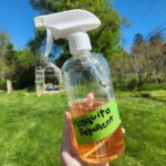 Homemade Mosquito Repellent