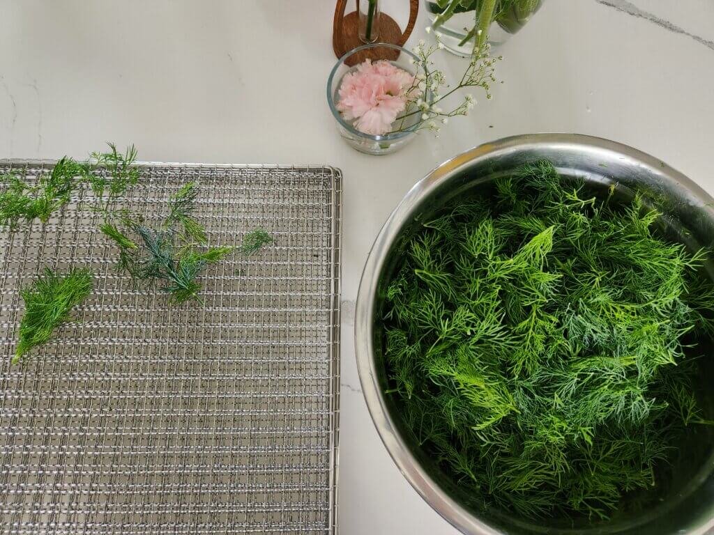 How to Dry Fresh Dill