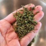 Thyme Dried and Ready To Store