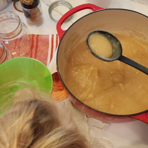 Apple Sauce Canning