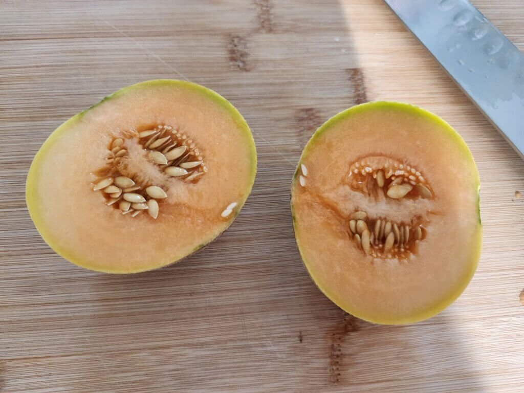 Inside of the cantaloupe turned yellow