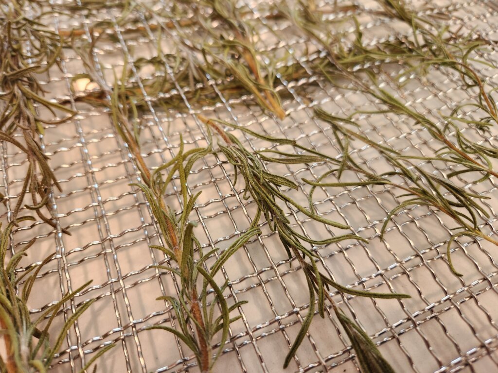 Rosemary Leaves Dried on Tray