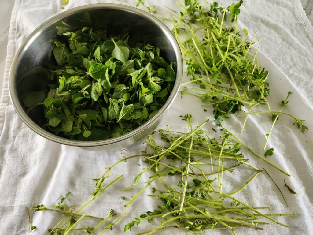 Washed and Dried Oregano Leaves Picked Off Stem