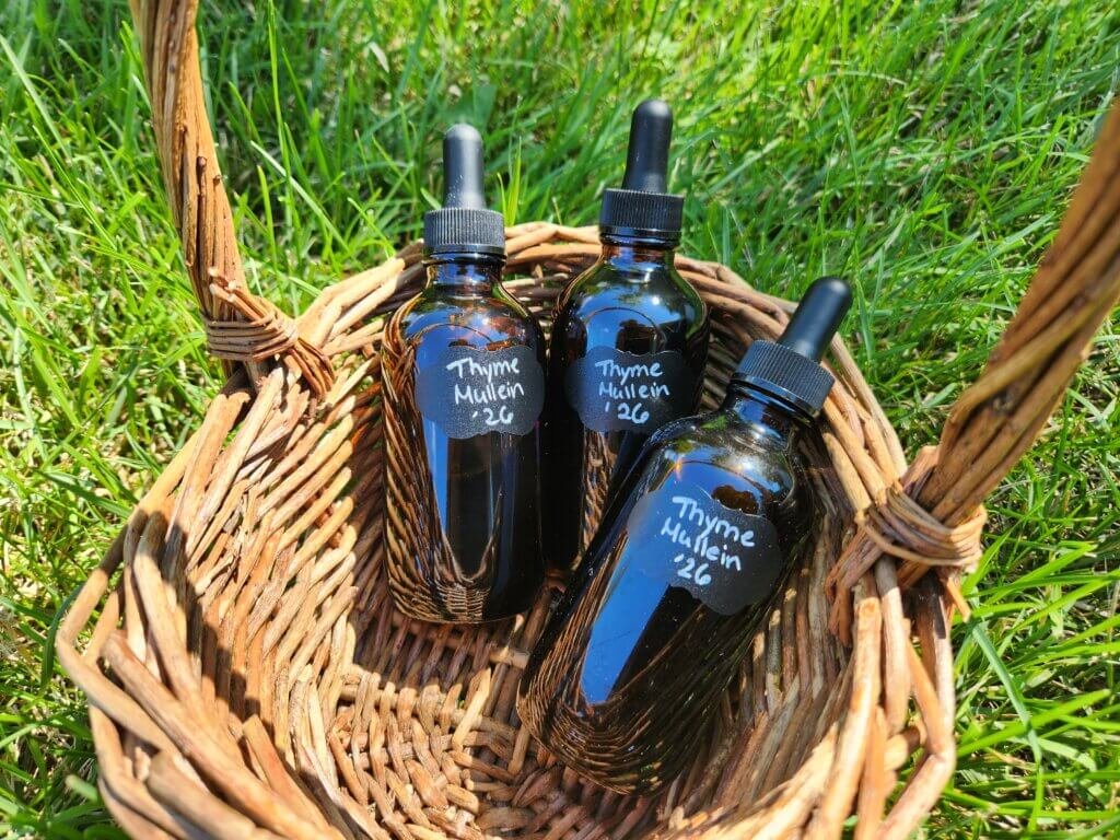 thyme and mullein - 3 tincture bottles in a basket in the grass