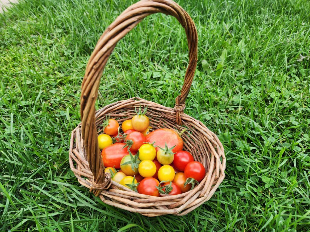 Little Harvest Basket