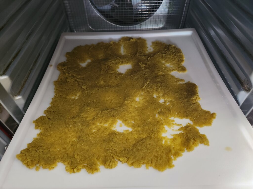Leftover fermented jalapeño hot sauce pulp spread on a dehydrator tray