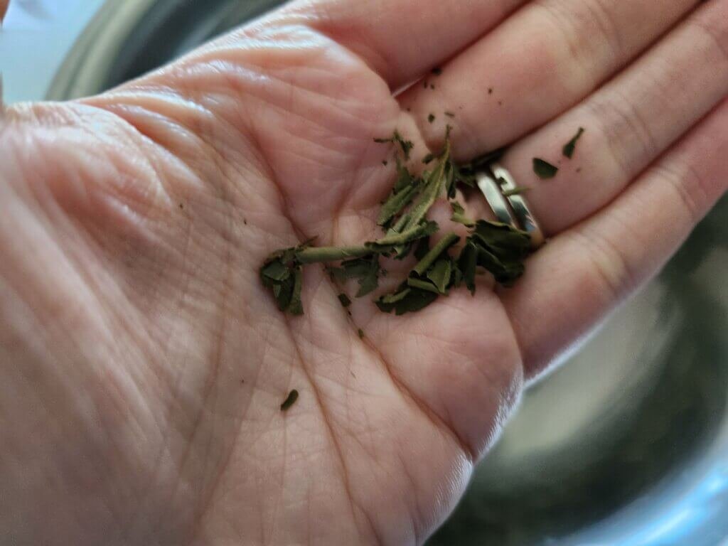 Basil Easily Breaking