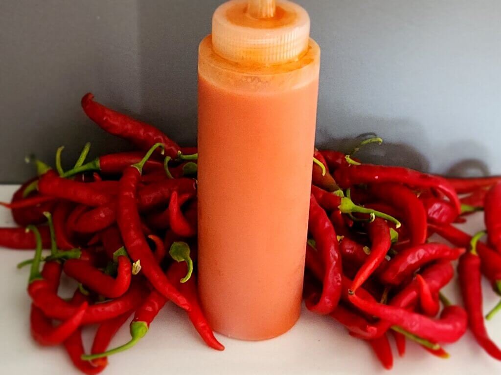 Homemade fermented cayenne pepper hot sauce in a squeeze bottle surrounded by red cayenne peppers.