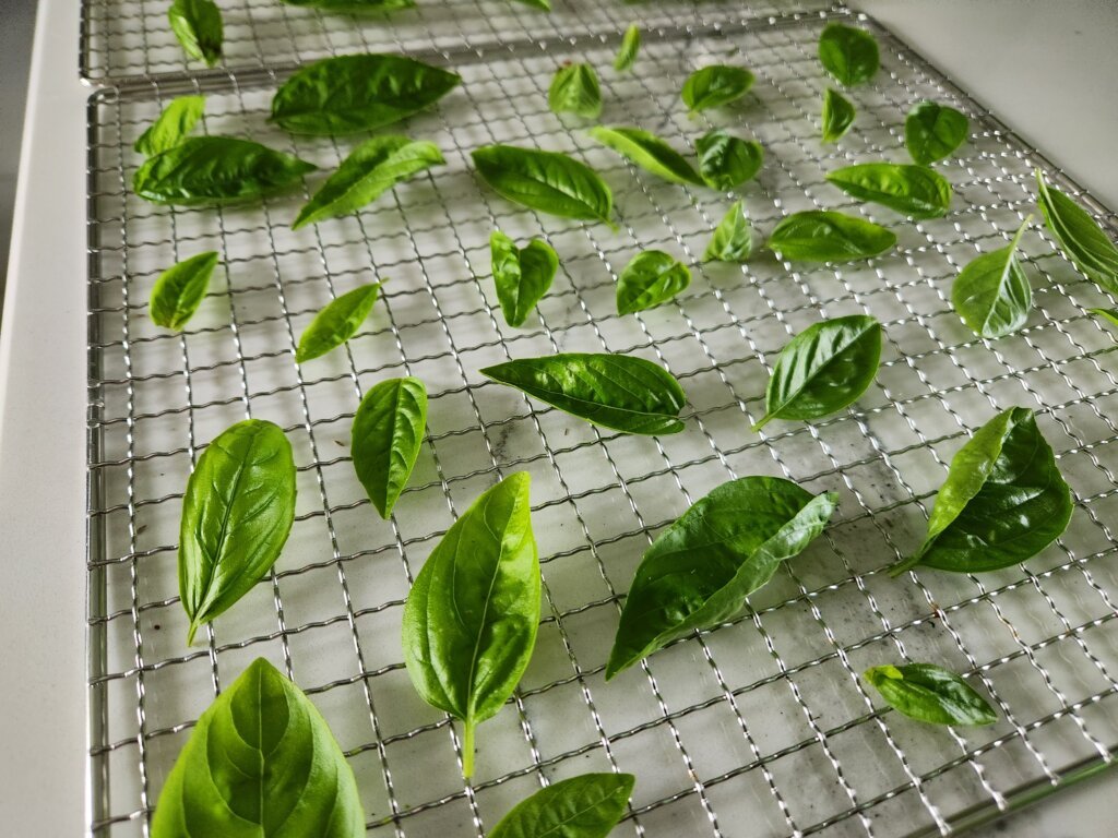 How to Dry Fresh Basil with a Dehydrator